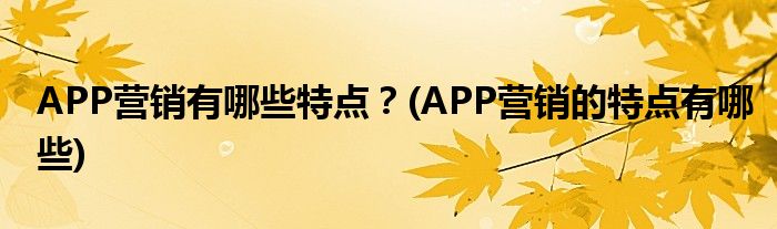 APP營(yíng)銷(xiāo)有哪些特點(diǎn)？(APP營(yíng)銷(xiāo)的特點(diǎn)有哪些)