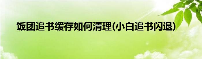 飯團(tuán)追書緩存如何清理(小白追書閃退)