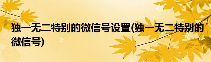 獨(dú)一無(wú)二特別的微信號(hào)設(shè)置(獨(dú)一無(wú)二特別的微信號(hào))