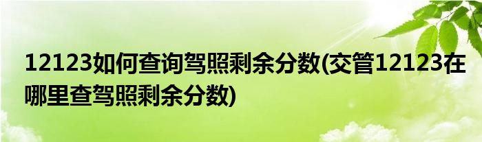 12123如何查詢駕照剩余分數(shù)(交管12123在哪里查駕照剩余分數(shù))