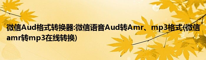 微信Aud格式轉(zhuǎn)換器:微信語音Aud轉(zhuǎn)Amr、mp3格式(微信amr轉(zhuǎn)mp3在線轉(zhuǎn)換)