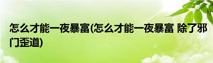 怎么才能一夜暴富(怎么才能一夜暴富 除了邪門歪道)