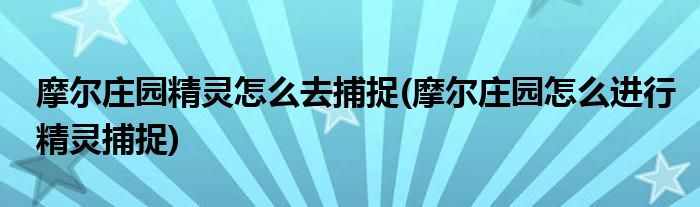 摩爾莊園精靈怎么去捕捉(摩爾莊園怎么進行精靈捕捉)