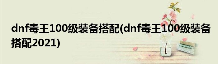 dnf毒王100級裝備搭配(dnf毒王100級裝備搭配2021)