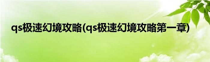 qs極速幻境攻略(qs極速幻境攻略第一章)