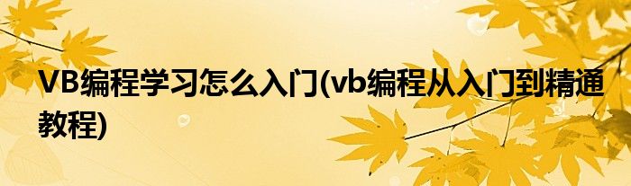 VB編程學(xué)習(xí)怎么入門(vb編程從入門到精通教程)