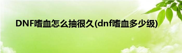 DNF嗜血怎么抽很久(dnf嗜血多少級)