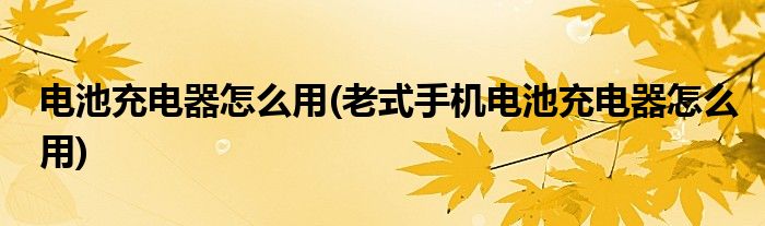 電池充電器怎么用(老式手機(jī)電池充電器怎么用)