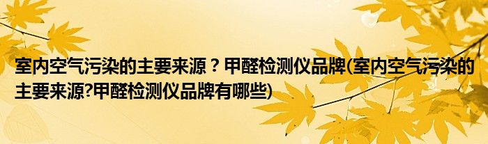 室內(nèi)空氣污染的主要來源？甲醛檢測儀品牌(室內(nèi)空氣污染的主要來源?甲醛檢測儀品牌有哪些)