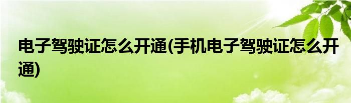 電子駕駛證怎么開通(手機(jī)電子駕駛證怎么開通)