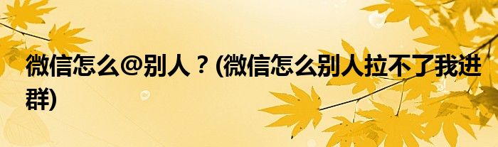 微信怎么@別人？(微信怎么別人拉不了我進群)