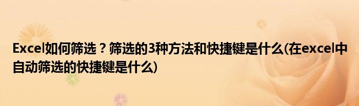 Excel如何篩選？篩選的3種方法和快捷鍵是什么(在excel中自動(dòng)篩選的快捷鍵是什么)