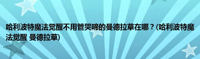 哈利波特魔法覺醒不用管哭啼的曼德拉草在哪？(哈利波特魔法覺醒 曼德拉草)