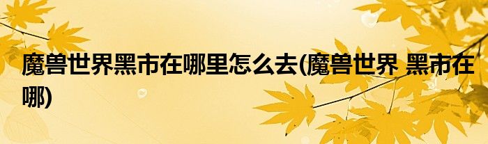 魔獸世界黑市在哪里怎么去(魔獸世界 黑市在哪)