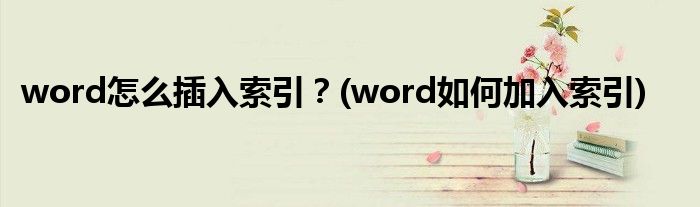 word怎么插入索引？(word如何加入索引)