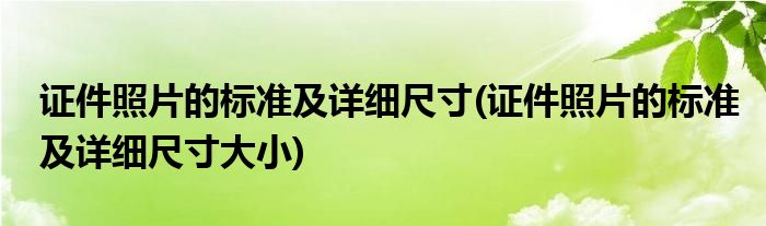 證件照片的標(biāo)準(zhǔn)及詳細(xì)尺寸(證件照片的標(biāo)準(zhǔn)及詳細(xì)尺寸大小)