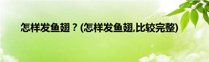 怎樣發(fā)魚翅？(怎樣發(fā)魚翅,比較完整)