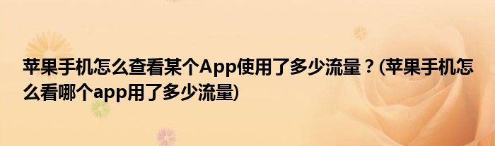 蘋果手機怎么查看某個App使用了多少流量？(蘋果手機怎么看哪個app用了多少流量)