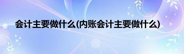 會計主要做什么(內(nèi)賬會計主要做什么)