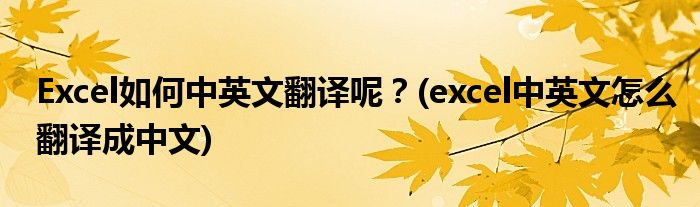 Excel如何中英文翻譯呢？(excel中英文怎么翻譯成中文)