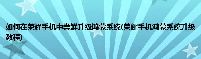 如何在榮耀手機(jī)中嘗鮮升級(jí)鴻蒙系統(tǒng)(榮耀手機(jī)鴻蒙系統(tǒng)升級(jí)教程)