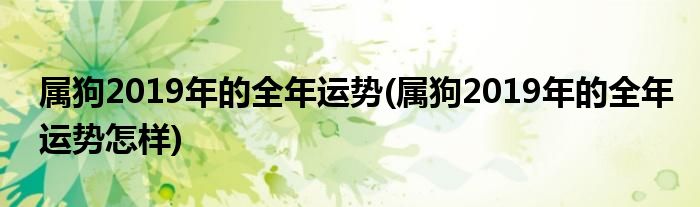 屬狗2019年的全年運(yùn)勢(shì)(屬狗2019年的全年運(yùn)勢(shì)怎樣)