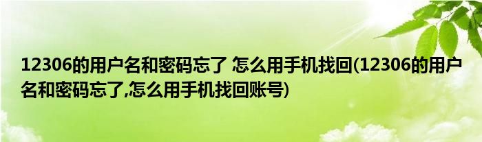 12306的用戶名和密碼忘了 怎么用手機找回(12306的用戶名和密碼忘了,怎么用手機找回賬號)