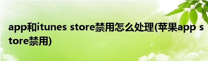 app和itunes store禁用怎么處理(蘋果app store禁用)