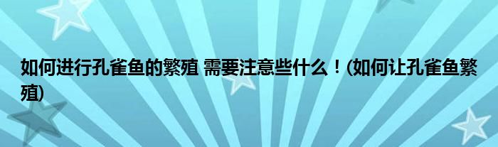 如何進(jìn)行孔雀魚的繁殖 需要注意些什么！(如何讓孔雀魚繁殖)