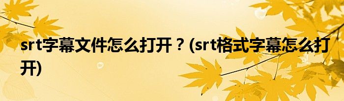 srt字幕文件怎么打開(kāi)？(srt格式字幕怎么打開(kāi))