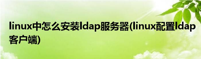 linux中怎么安裝ldap服務(wù)器(linux配置ldap客戶端)