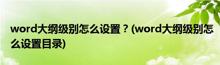 word大綱級別怎么設(shè)置？(word大綱級別怎么設(shè)置目錄)