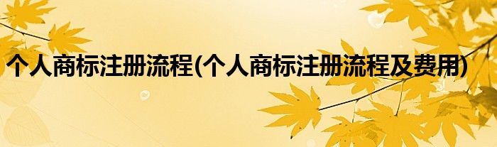 個人商標注冊流程(個人商標注冊流程及費用)