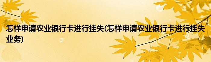 怎樣申請農(nóng)業(yè)銀行卡進行掛失(怎樣申請農(nóng)業(yè)銀行卡進行掛失業(yè)務)