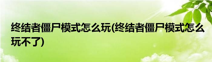 終結(jié)者僵尸模式怎么玩(終結(jié)者僵尸模式怎么玩不了)