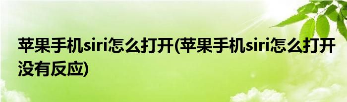 蘋(píng)果手機(jī)siri怎么打開(kāi)(蘋(píng)果手機(jī)siri怎么打開(kāi)沒(méi)有反應(yīng))