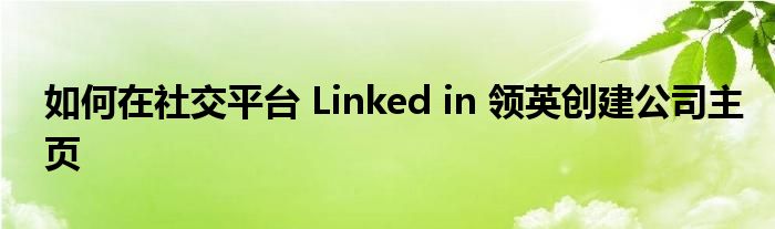 如何在社交平臺(tái) Linked in 領(lǐng)英創(chuàng)建公司主頁