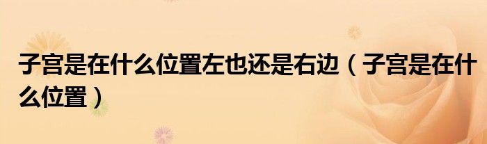 子宮是在什么位置左也還是右邊（子宮是在什么位置）