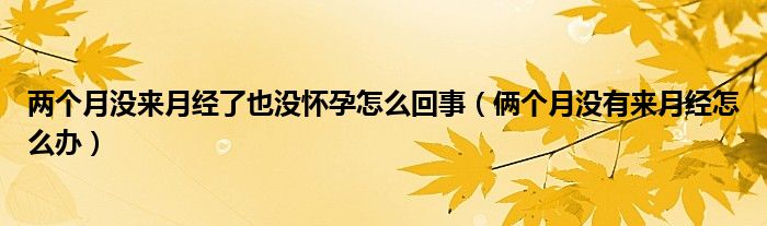 兩個(gè)月沒(méi)來(lái)月經(jīng)了也沒(méi)懷孕怎么回事（倆個(gè)月沒(méi)有來(lái)月經(jīng)怎么辦）