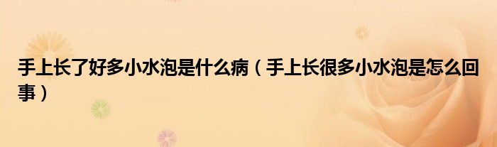 手上長(zhǎng)了好多小水泡是什么?。ㄊ稚祥L(zhǎng)很多小水泡是怎么回事）