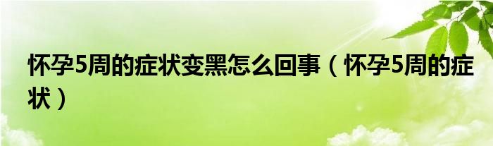 懷孕5周的癥狀變黑怎么回事（懷孕5周的癥狀）