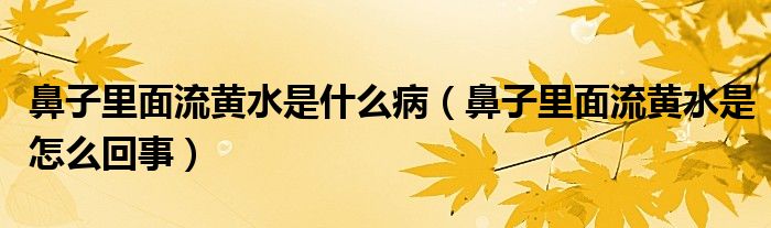 鼻子里面流黃水是什么?。ū亲永锩媪鼽S水是怎么回事）