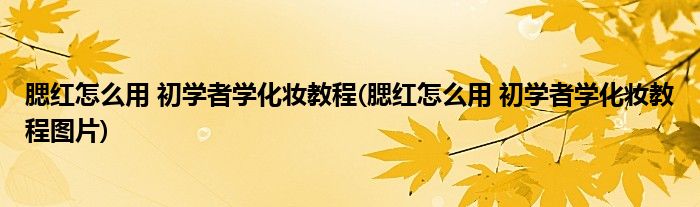 腮紅怎么用 初學(xué)者學(xué)化妝教程(腮紅怎么用 初學(xué)者學(xué)化妝教程圖片)