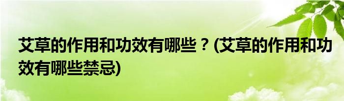 艾草的作用和功效有哪些？(艾草的作用和功效有哪些禁忌)