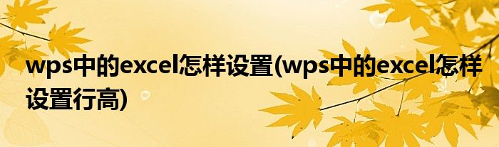 wps中的excel怎樣設(shè)置(wps中的excel怎樣設(shè)置行高)