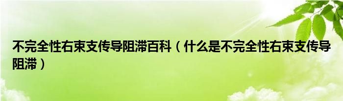 不完全性右束支傳導(dǎo)阻滯百科（什么是不完全性右束支傳導(dǎo)阻滯）