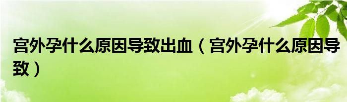 宮外孕什么原因?qū)е鲁鲅▽m外孕什么原因?qū)е拢?class='thumb lazy' /></a>
		    <header>
		<h2><a  href=