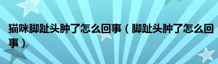 貓咪腳趾頭腫了怎么回事（腳趾頭腫了怎么回事）