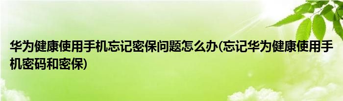 華為健康使用手機忘記密保問題怎么辦(忘記華為健康使用手機密碼和密保)