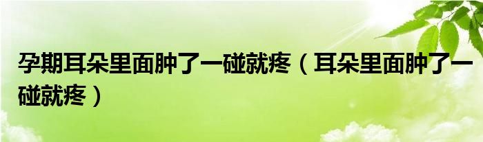 孕期耳朵里面腫了一碰就疼（耳朵里面腫了一碰就疼）